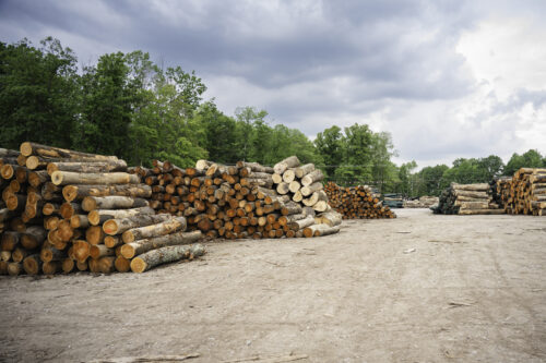 Log Yard Inventory