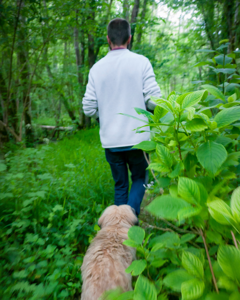 Man walking through the woods with a dog