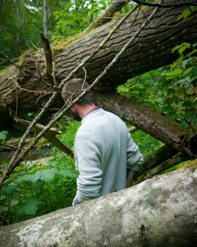 Man walking through the woods assessing his timber
